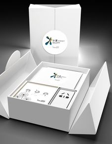 智繪未來(lái)，悅享生活——智能家居產(chǎn)品LOGO與包裝設(shè)計(jì)方案